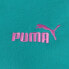 Puma Essentials+ Embroidery Logo Pullover Hoodie Womens Size M Casual Outerwear