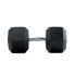 BODYTONE Hex Dumbbells 42kg 2 Units