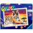 Фото #1 товара RAVENSBURGER Tiger Paint Kit