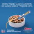 Фото #3 товара INABA Churu Meal Topper Tuna 4 x 14g cat treat