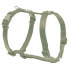 ფოტო #2 პროდუქტის FREEDOG Nylon Basic Harness