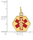 Medical Info Hexagon Charm Pendant in 14k Gold