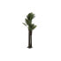 Tree DKD Home Decor Palm tree polypropylene 100 x 100 x 250 cm