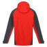 Фото #4 товара REGATTA Britedale softshell jacket