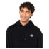 DICKIES Millersburg hoodie