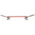 Фото #4 товара GLOBE Goodstock 7.75´´ Skateboard