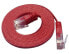 Фото #2 товара Wirewin PKW-SLIM-KAT6 0.5 RT - 0.5 m - Cat6 - U/UTP (UTP) - RJ-45 - RJ-45 - Red