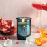 Фото #3 товара Northern Lights Candles - Spirit Jar Candles 5oz - Winter Aperol Spritz - 52622