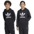 Фото #1 товара ADIDAS ORIGINALS Trefoil hoodie