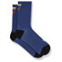 Фото #1 товара GIANT Team Legends Edition socks