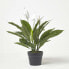 Фото #8 товара Kunstpflanze Spathiphyllum Wallisii