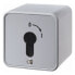 Фото #1 товара Berker 4466 - Key-operated switch - 2P - Grey - Metal - Plastic - 250 V - 75 mm