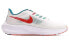 Кроссовки Nike Air Zoom Pegasus 39 FD4322-161