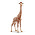 Фото #1 товара Кукла для девочек SCHLEICH Wild Life Giraffe Female doll