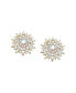 Фото #1 товара Women's Gold Snowflake Stud Earrings