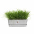 Фото #4 товара Ящик для цветов elho Planter Grey 50 cm Plastic