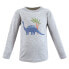 Hudson Baby Infant and Toddler Boy Long Sleeve T-Shirts, Dinosaur Size 12M