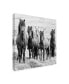 PH Burchett Black and White Horses VIII Canvas Art - 20" x 25"