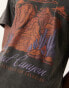 Фото #3 товара Abercrombie & Fitch Grand Canyon national parks print acid wash relaxed fit t-shirt in black