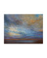 Фото #1 товара Sheila Finch Coastal Clouds I Canvas Art - 19.5" x 26"