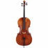 Gewa Germania 11 Prag Antik Cello