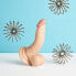 Фото #3 товара Gebogener Naturdildo, 17 cm