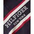 TOMMY HILFIGER MW0MW33590 short sleeve polo