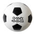 Фото #1 товара Футбольный мяч для начинающих SPORTI FRANCE Initiation Ø21см