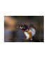 Фото #1 товара Verdon Soft Landing Duck Canvas Art - 15" x 20"