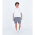 HURLEY Phantom Heather Walk 18´´ shorts