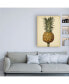 Фото #3 товара George Brookshaw Brookshaw Antique Pineapple II Canvas Art - 36.5" x 48"