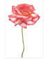Фото #1 товара Pink Rose on White Frameless Free Floating Tempered Glass Panel Graphic Wall Art, 48" x 32" x 0.2"