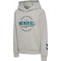 Фото #1 товара HUMMEL Asher hoodie