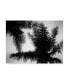 Фото #1 товара Debra Van Swearingen Palm Tree Looking Up I Canvas Art - 37" x 49"