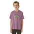 ფოტო #2 პროდუქტის RIP CURL Keep On Trucking short sleeve T-shirt