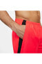 Challenger Dri-Fit Shorts In Red CZ9066-635