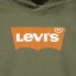 LEVI´S ® KIDS Batwing Screenprint Teen Hoodie