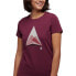 ფოტო #4 პროდუქტის BLACK DIAMOND Mountain Transparency short sleeve T-shirt