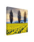 Фото #2 товара Alan Majchrowicz Skagit Valley Daffodils II Canvas Art - 15" x 20"