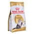 Фото #1 товара Корм для котов Royal Canin Persian Adult Курица рис Растительный птицы 400 g