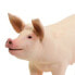 Фото #6 товара SAFARI LTD Large Pig Figure