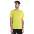 Фото #1 товара Футболка мужская Icebreaker Merino 150 Tech Lite III Natural Run Club 2.0 Short Sleeve T-Shirt
