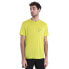 ICEBREAKER Merino 150 Tech Lite III Natural Run Club 2.0 short sleeve T-shirt