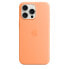 Фото #3 товара Чехол для iPhone 15 Pro Max от Apple оранжевый