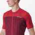 Фото #4 товара CASTELLI Unlimited Entrata short sleeve jersey