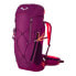 Фото #1 товара SALEWA Alp Trainer33L backpack