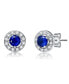 Фото #1 товара Cubic Zirconia Elegant Halo Stud Earrings