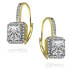 ფოტო #2 პროდუქტის Radiant 14K Gold-Plated Halo Leverback Earrings with Cubic Zirconia