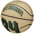 Фото #3 товара Basketball ball Wilson NBA Player Icon Giannis Antetokounmpo Mini Ball WZ4007501XB