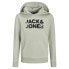 Фото #1 товара JACK & JONES Embro Palm hoodie